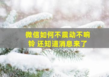 微信如何不震动不响铃 还知道消息来了